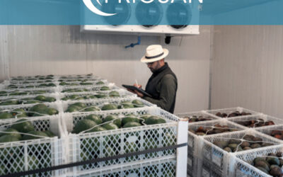 Cold chain automation market to surpass $2B revenue by 2030